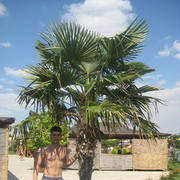  ,   Zurab, 40 ,   