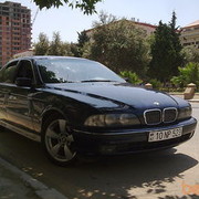 ���������� ����, ���� ������� Elsen, 36 ���, ������������ ��� ������