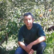  ,   , 58 ,   ,   
