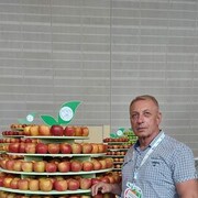  ,   , 67 ,  