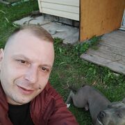 ���������� ������ ��������, ���� ������� �����, 40 ���, ������������ ��� ������, ����� � ���������