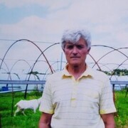  ,   , 74 ,   ,   