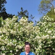 ���������� �����������, ���� ������� ����, 63 ����, ������������ ��� ������