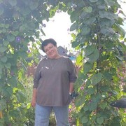 ���������� �����, ���� ������� ������, 58 ���, ������������ ��� ������, ����� � ���������, c�������� ���������