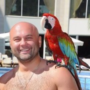 ���������� ������, ���� ������� ���������, 47 ���, ������������ ��� ������, ����� � ���������, c�������� ���������