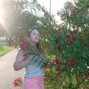 ���������� ������, ���� ������� ������, 44 ����, ������������ ��� c�������� ���������