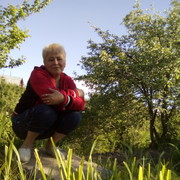  ,   , 51 ,   