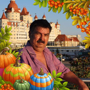  ,   , 65 ,  