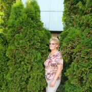 ���������� ���������, ���� ������� ����, 70 ���, ������������ ��� ������, ����� � ���������