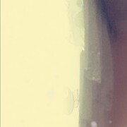 ���������� ������, ���� ������� �����, 38 ���, ������������ ��� ���������