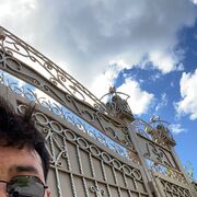 ���������� ��������, ���� ������� ������, 28 ���, ������������ ��� ������, ����� � ���������