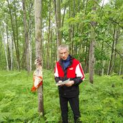 ���������� �����������-��-�����, ���� ������� ����, 50 ���, ������������ ��� ������, ����� � ���������, c�������� ���������