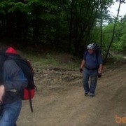  ,   , 51 ,   