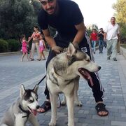  ,   Zaur, 34 ,     , c 