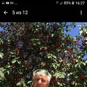 ���������� ����������, ���� ������� ������, 67 ���, ������������ ��� ������, ����� � ���������