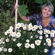 ���������� �����-���������, ���� ������� �����, 56 ���, ������������ ��� ����� � ���������, c�������� ���������