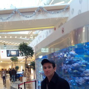  ,   Timur, 44 ,   ,   , c 