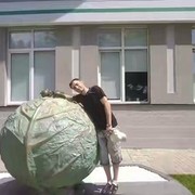 ���������� ������, ���� ������� Vlad, 47 ���, ������������ ��� ����� � ���������, c�������� ���������