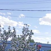  ,   , 62 ,   c 