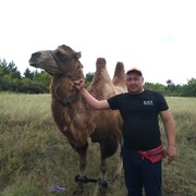 ���������� ������, ���� ������� ����, 41 ���, ������������ ��� ������, ����� � ���������, c�������� ���������