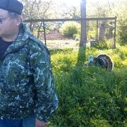 ������ ��������