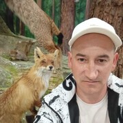  ,   , 41 ,     , c 