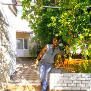  ,   , 55 ,  