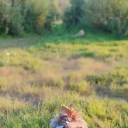 ���������� ������, ���� ������� ������, 54 ����, ������������ ��� ������, ����� � ���������