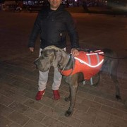  ,   Eddie, 46 ,   ,   , c 