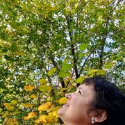  ,   , 54 ,   
