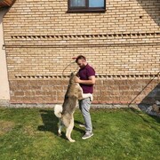 ���������� ���������, ���� ������� ������, 26 ���, ������������ ��� ������, ����� � ���������