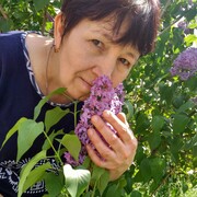  ,   , 55 ,  
