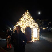 ���������� �����������, ���� ������� �����, 50 ���, ������������ ��� ����� � ���������