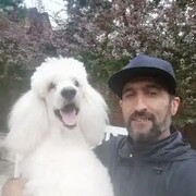 ���������� ������, ���� ������� �����, 45 ���, ������������ ��� ������, ����� � ���������