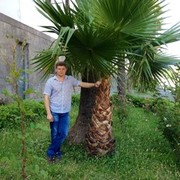 ���������� ��������, ���� ������� ���������, 42 ����, ������������ ��� ������, ����� � ���������, c�������� ���������