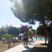 ���������� ������, ���� ������� A������, 47 ���, ������������ ��� ������, ����� � ���������