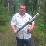  ,  Maus, 41