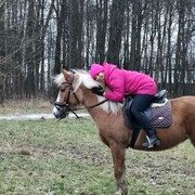 ���������� ������, ���� ������� ���������, 30 ���, ������������ ��� ������, ����� � ���������, c�������� ���������