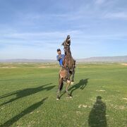 ���������� ������, ���� ������� ���, 32 ����, ������������ ��� ����� � ���������