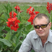   ,   , 63 ,   