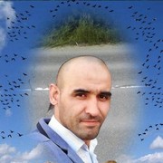  ,   , 43 ,  