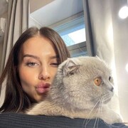 ���������� �����, ����