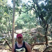  ,   , 52 ,   ,   , c 