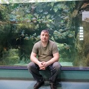 ���������� ������������, ���� ������� �������, 45 ���, ������������ ��� ������, ����� � ���������, c�������� ���������