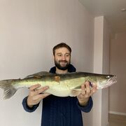 ���������� ������������, ���� ������� �������, 30 ���, ������������ ��� c�������� ���������