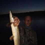 ���������� ����, ���� ������� �������, 40 ���, ������������ ��� ������, ����� � ���������, c�������� ���������