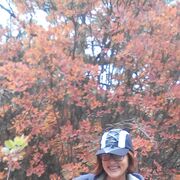 ���������� ��������������, ���� ������� ����, 59 ���, ������������ ��� c�������� ���������