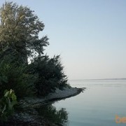 ���������� �������, ���� ������� ��������, 45 ���, ������������ ��� ������