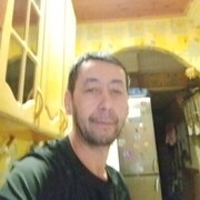  -,   , 49 ,   ,   