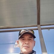  ,   , 53 ,   ,   